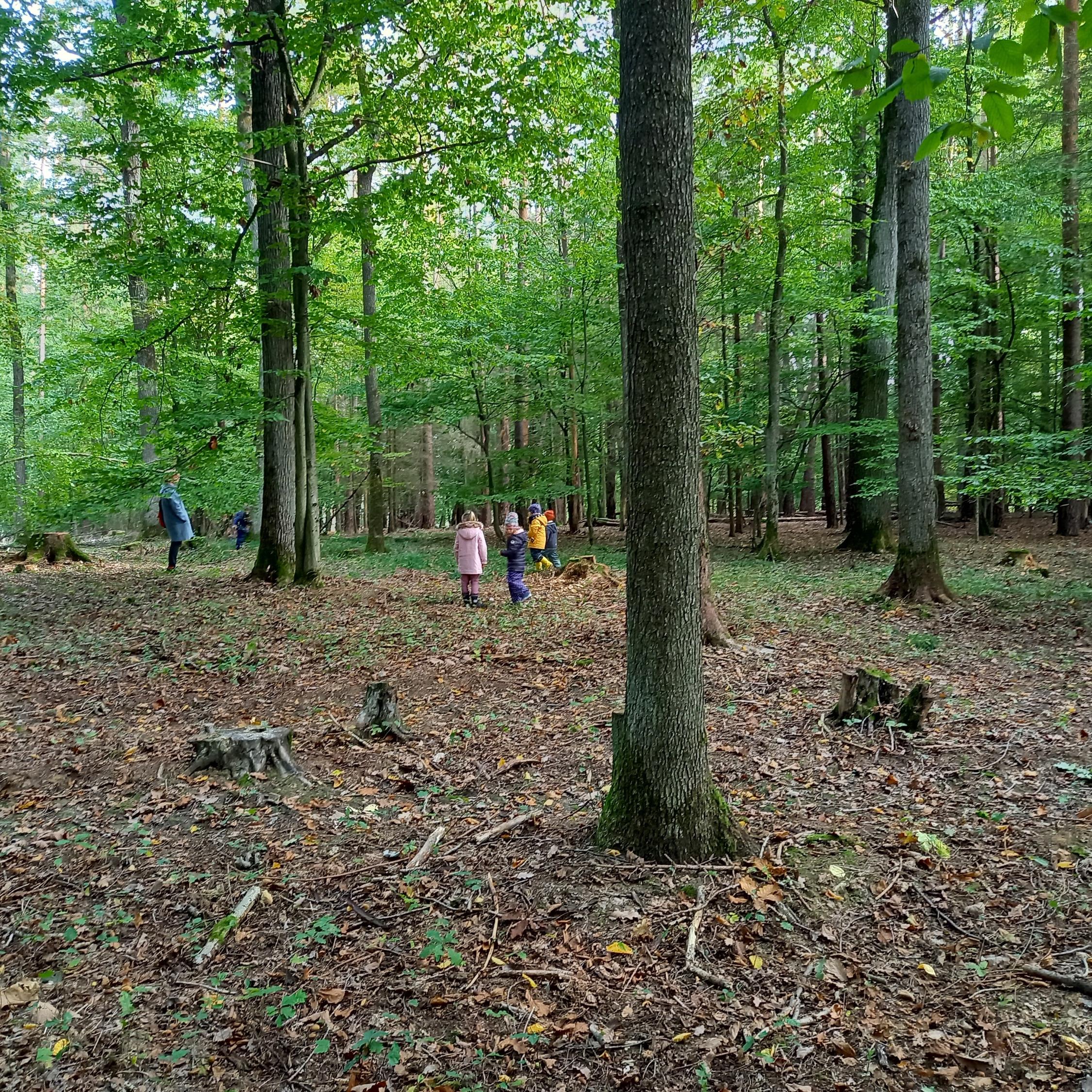 Waldtag