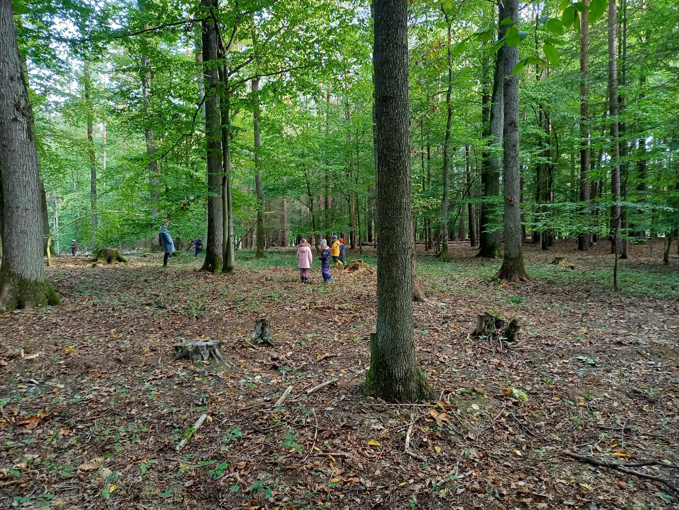 Waldtag