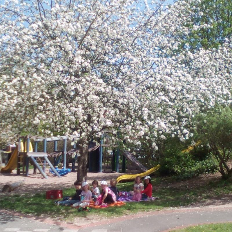Apfelbaum